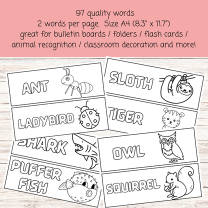 97 black and white animals word wall