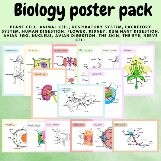 Biology diagram poster bundle