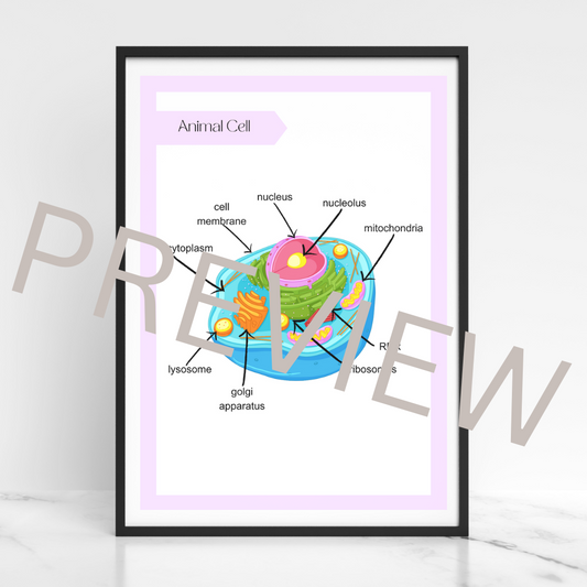 Animal cell poster