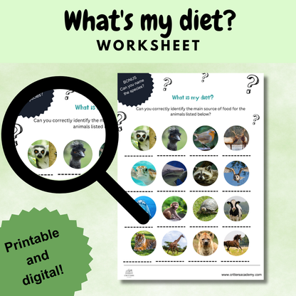 Whats my diet animal nutrition worksheet