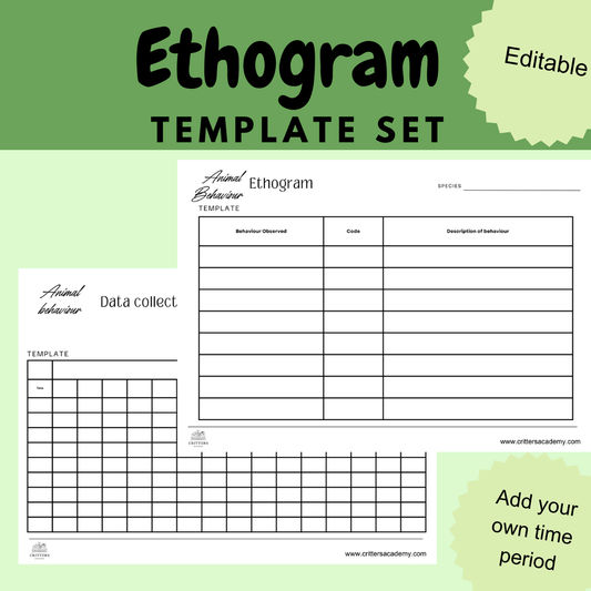 Animal behaviour ethogram and data collection templates