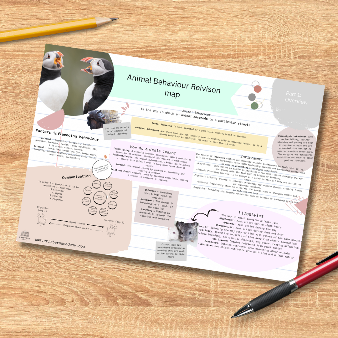 Animal behaviour revision mat