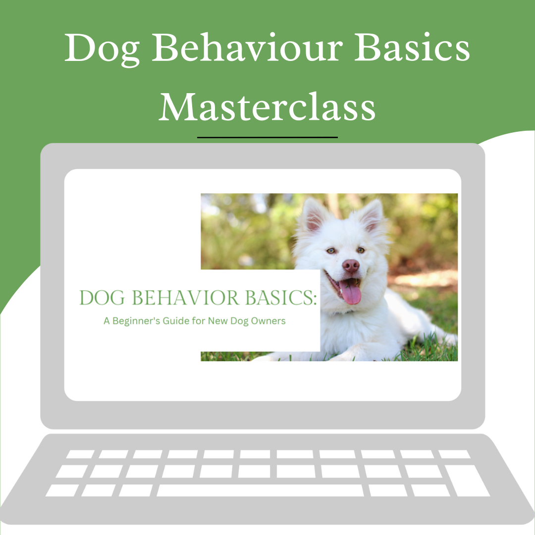 Dog Behaviour Basics Masterclass with FREE new puppy bonus book