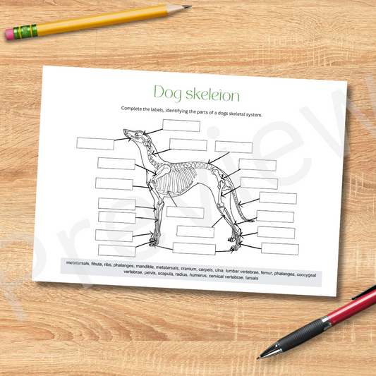 Dog skeleton system anatomy labeling worksheet