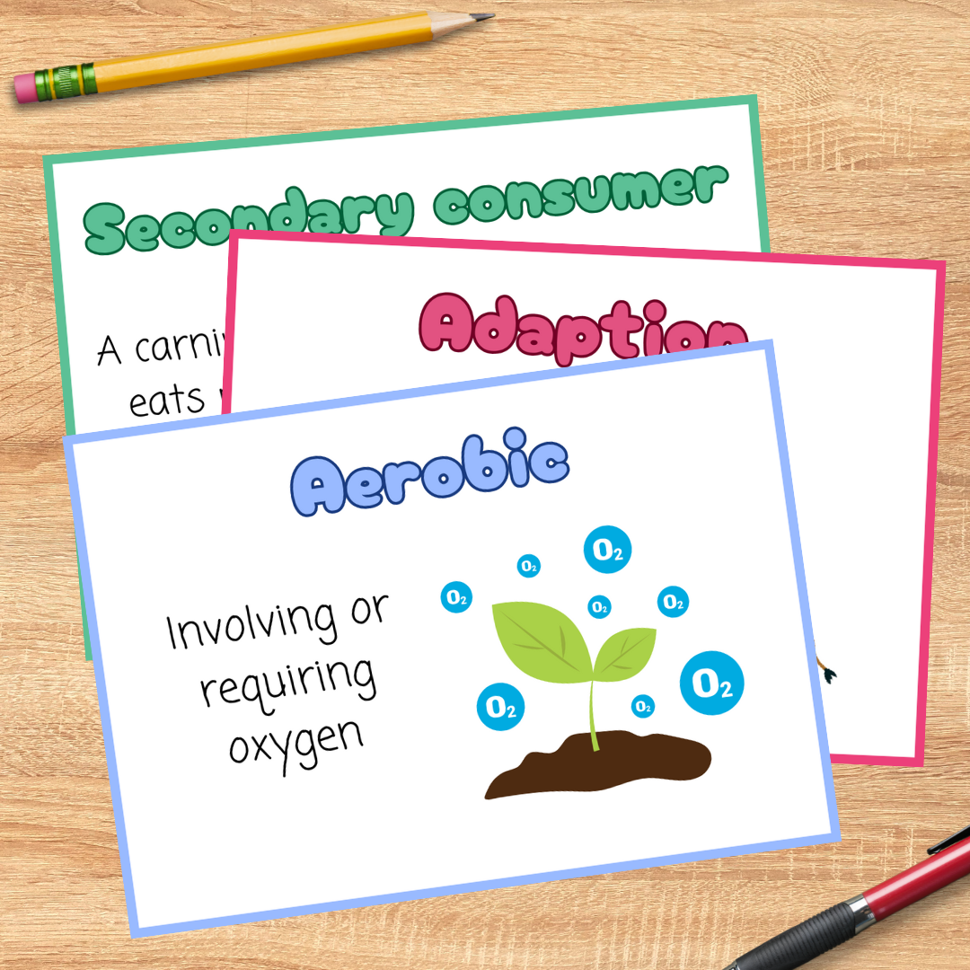 Ecology biology vocabulary posters