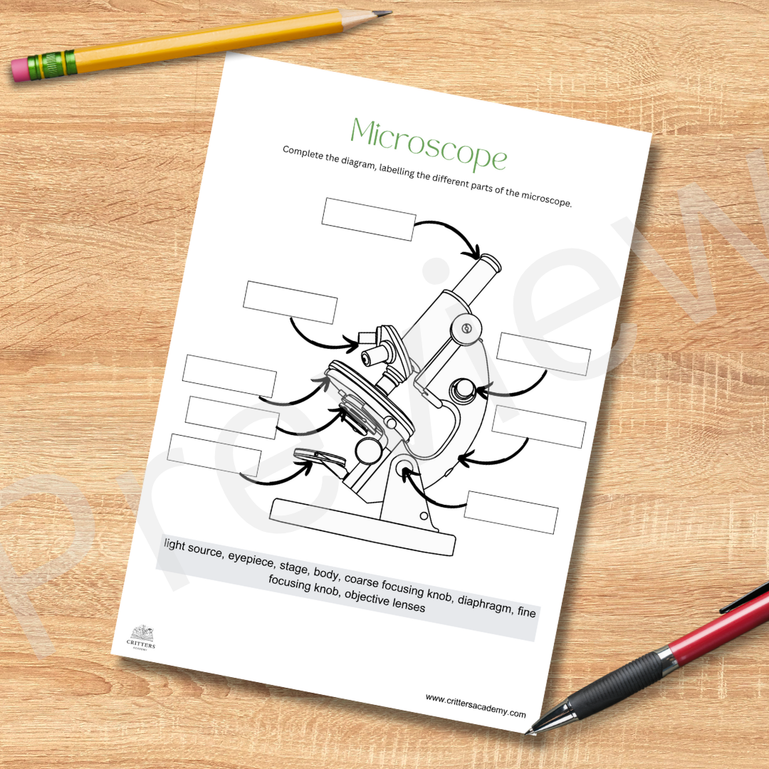 microscope biology labeling worksheet