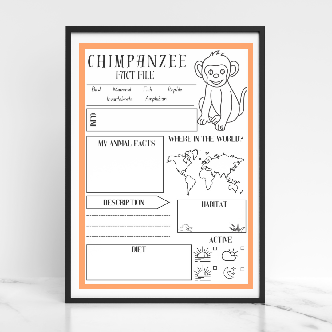 Rainforest animal research project poster template