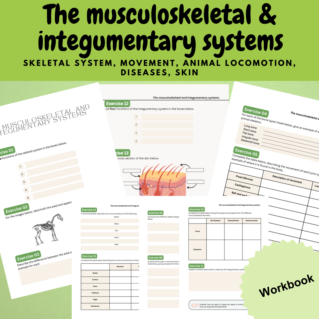 Animal management biology musculoskeletal and integumentary systems workbook