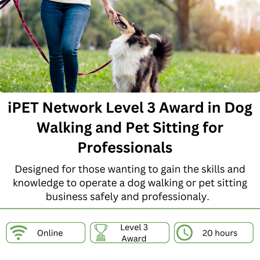 iPET Network Level 3 Award in Dog Walking and Pet Sitting for Professionals