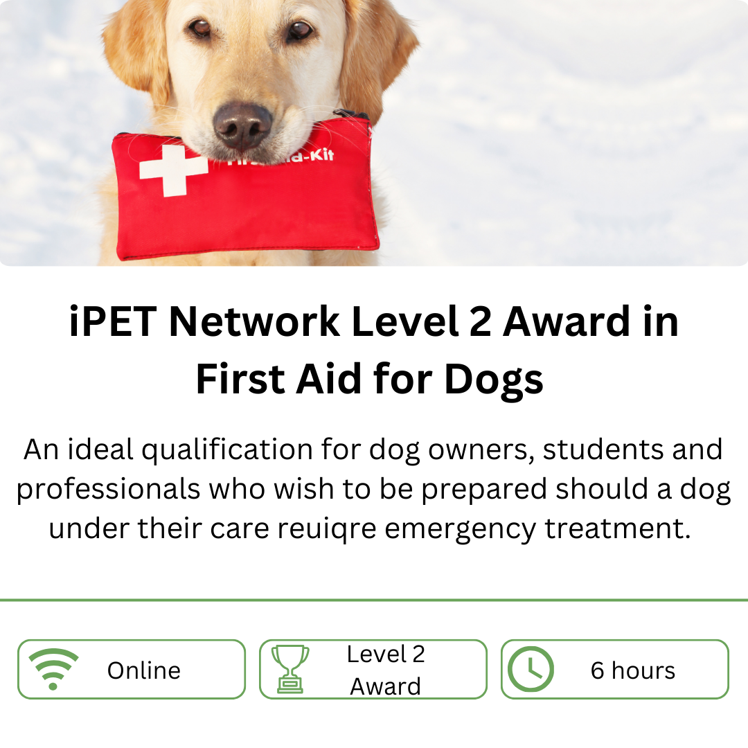 iPET Network Level 2 Award in First Aid for Dogs