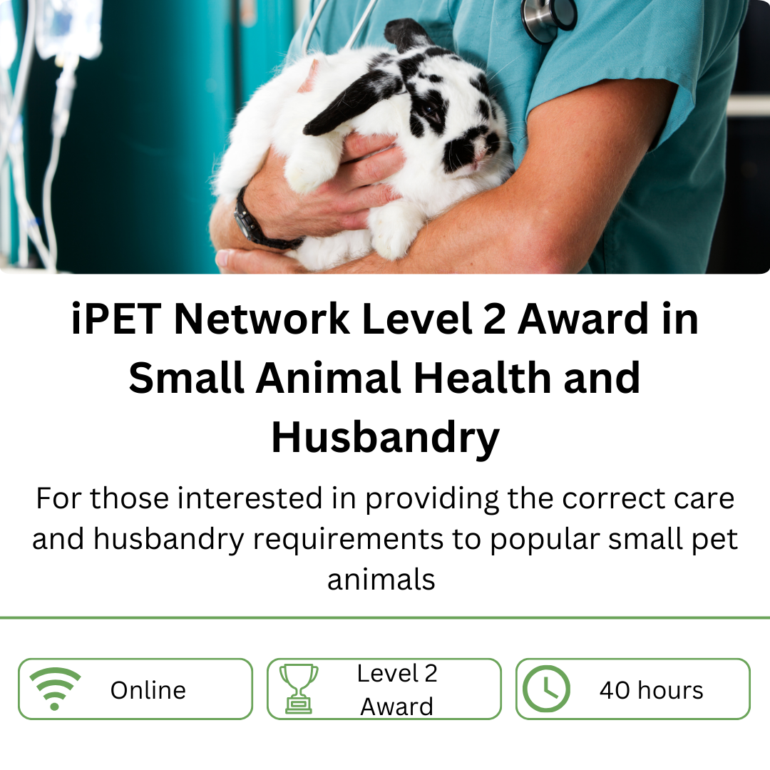 iPET Network Level 2 Award in Small Animal Health and Husbandry