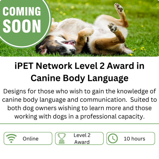 iPET Network Level 2 Award in Canine Body Language