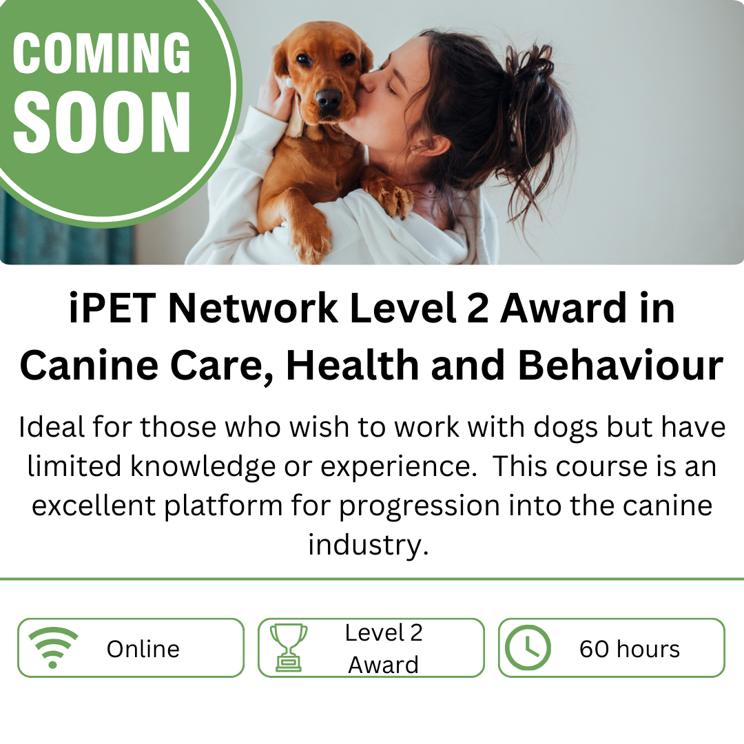 iPET Network Level 2 Award in Canine Care, Health and Behaviour