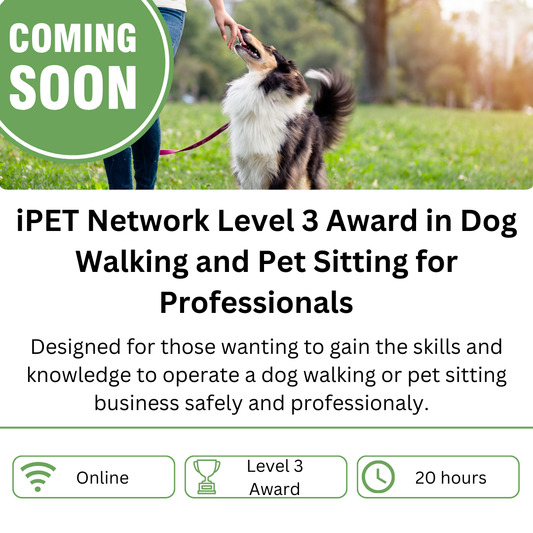 iPET Network Level 3 Award in Dog Walking and Pet Sitting for Professionals