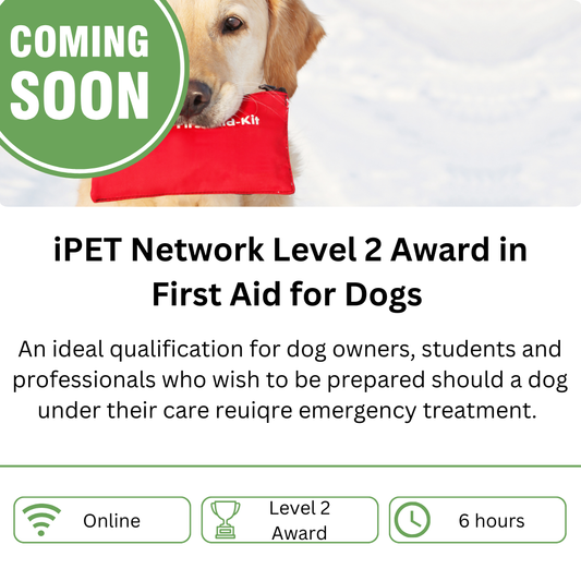 iPET Network Level 2 Award in First Aid for Dogs