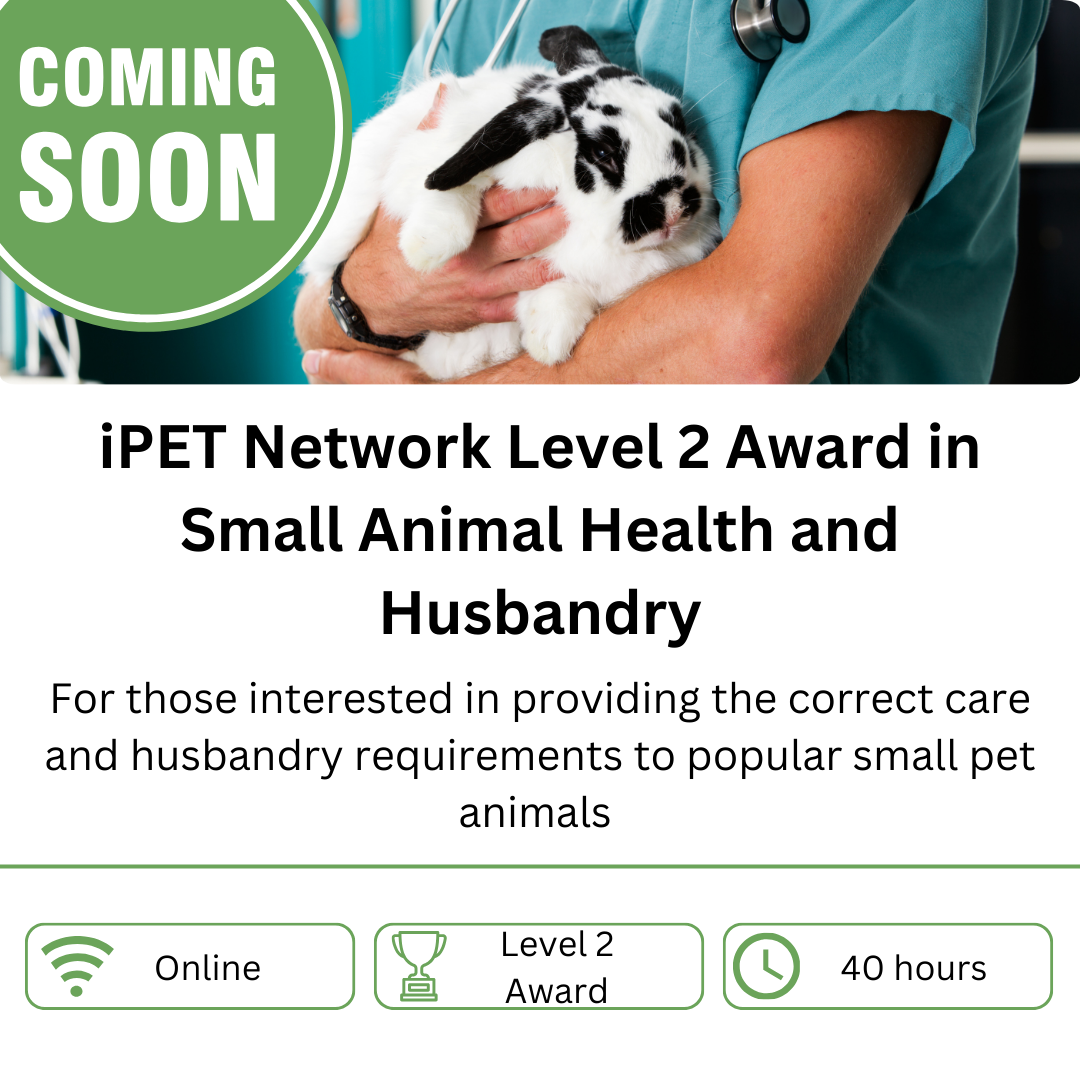 iPET Network Level 2 Award in Small Animal Health and Husbandry