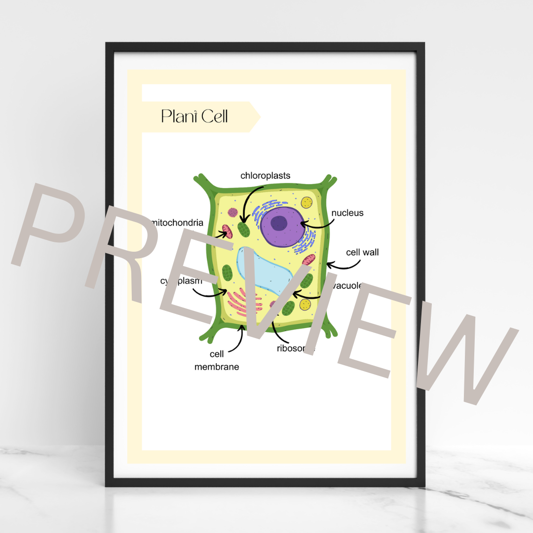 Plant cell poster