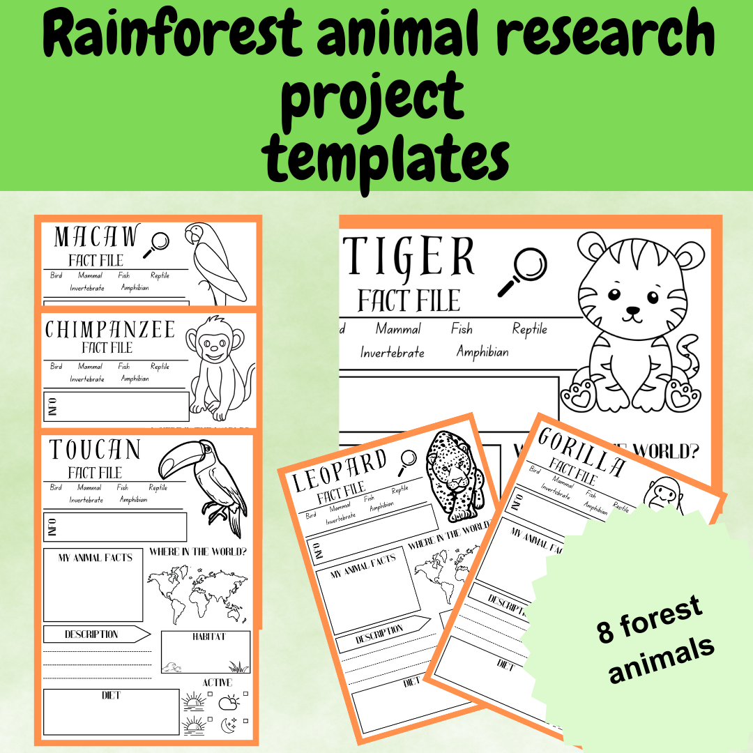 Rainforest animal research project poster template