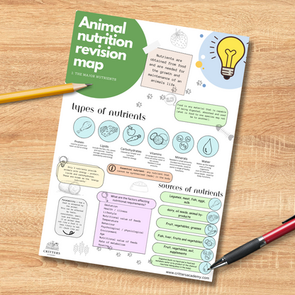 Animal nutrition revision mat