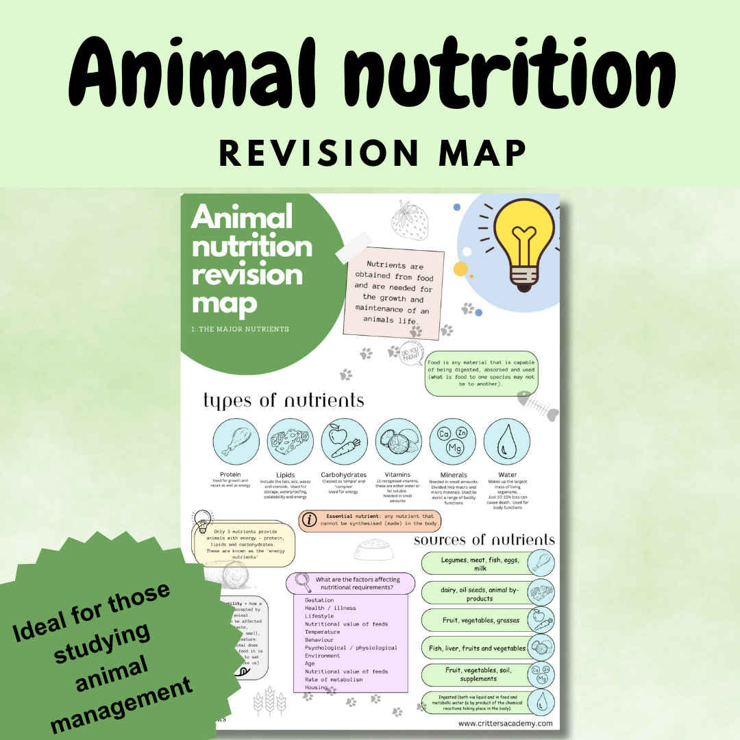 Animal nutrition revision mat